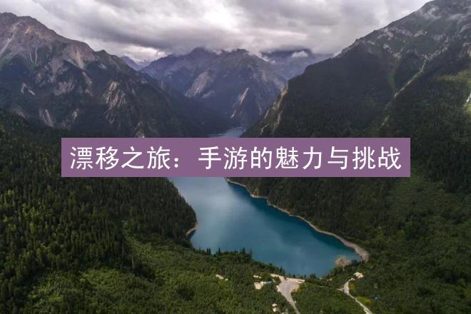 漂移之旅：手游的魅力与挑战