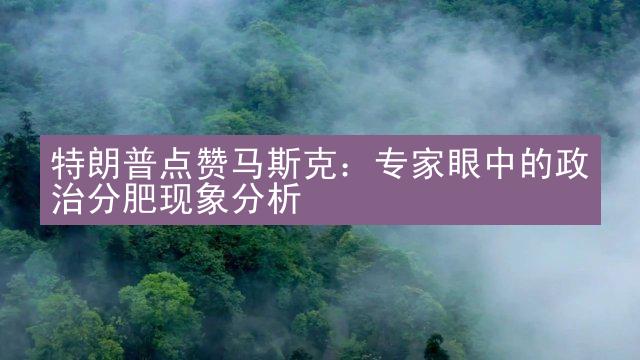 特朗普点赞马斯克：专家眼中的政治分肥现象分析