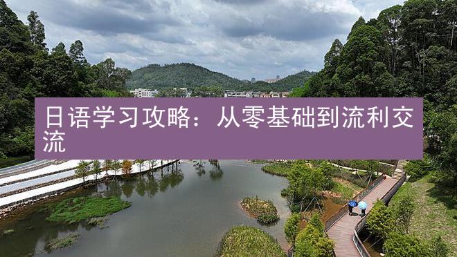 日语学习攻略：从零基础到流利交流