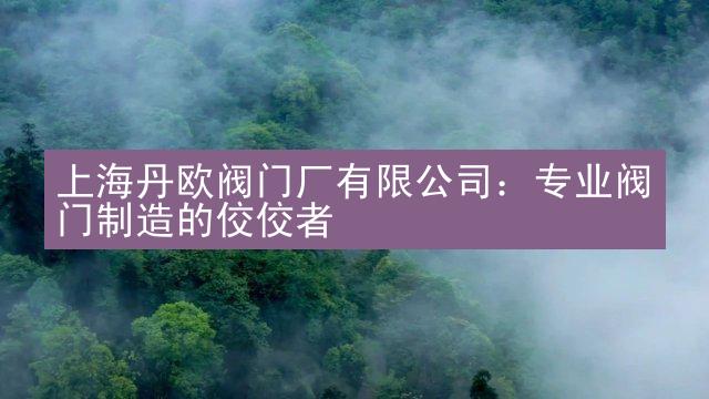 上海丹欧阀门厂有限公司：专业阀门制造的佼佼者