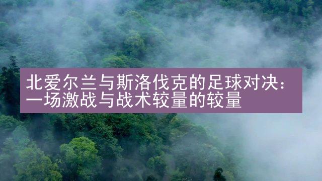 北爱尔兰与斯洛伐克的足球对决：一场激战与战术较量的较量