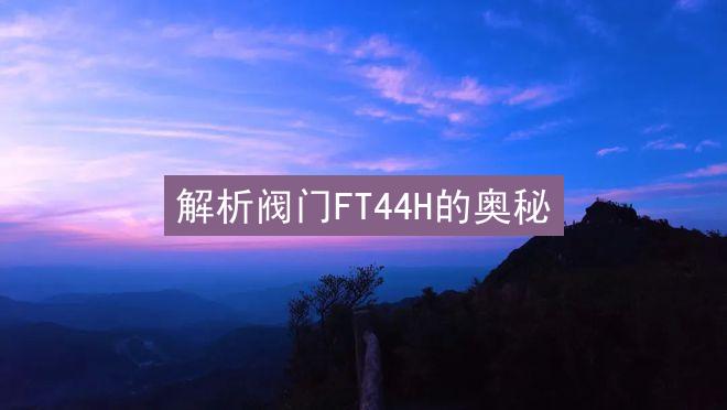 解析阀门FT44H的奥秘