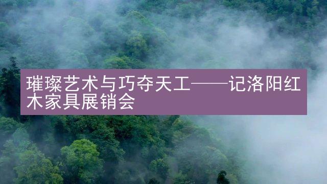 璀璨艺术与巧夺天工——记洛阳红木家具展销会