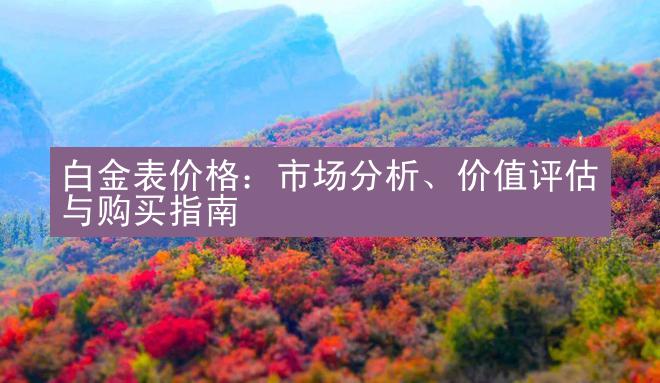 白金表价格：市场分析、价值评估与购买指南