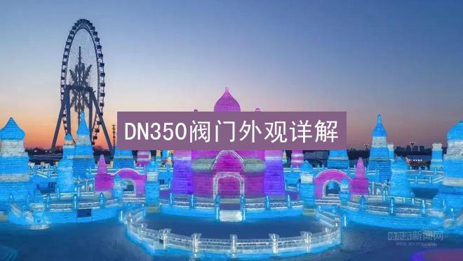 DN350阀门外观详解