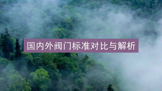 国内外阀门标准对比与解析