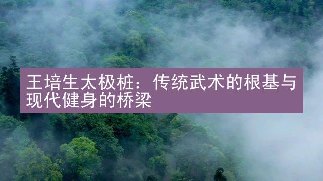 王培生太极桩：传统武术的根基与现代健身的桥梁