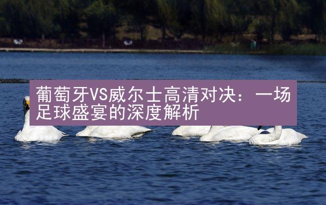 葡萄牙VS威尔士高清对决：一场足球盛宴的深度解析