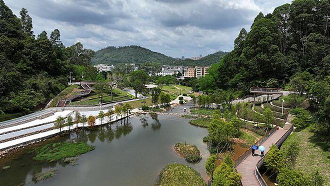 浙大贫困生晒旅游照：逆境中的坚韧与希望