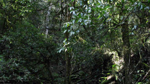 牌桌意外：因出牌缓慢遭遇“飞来横祸”